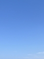 新着ブログ ☀️