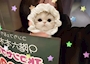 りな🧸六本木DOLL🧸