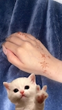 新着ブログ ネイル変えてヘナタトゥーした😻