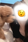 新着ブログ 🩵🐕 ͗ ͗🩵