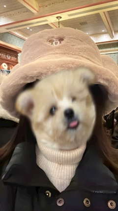 プロフィール写真1・❤️なお❮C-ute❯｜Cafe＆Bar C-ute・キュート - 上野のガールズバー