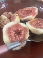 新着ブログ ❤️❤️