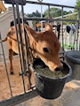 新着ブログ うしさん🐄⸒⸒