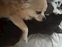 新着ブログ ꪔ̤̱ꪔ̤̱ꪔ̤̱♥︎