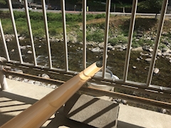 あおい