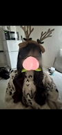 もも