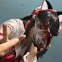すもも