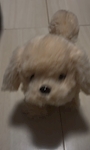 chiko
