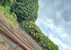 ゆあ