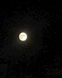 新着ブログ 明日は満月だね🌕