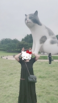 ゆか