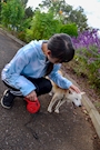 chiko