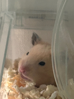 なぎ