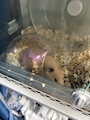 新着ブログ 最近