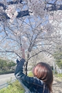 みずき