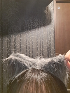 みゆ🐱