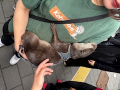 せな「出勤してます😊今週」