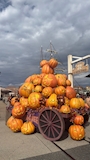 新着ブログ 10/30🎃ハロウィンがやってきますよ👻