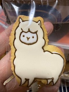 しょうへい(じゅんや)