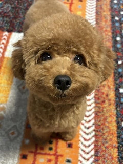 プロフィール写真5・ゆい｜ann・アン - 名古屋 錦のスナック