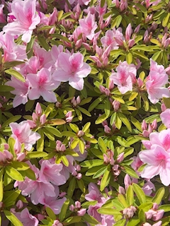 昨日はありがとうございました！