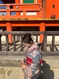 女の子の名前