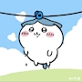 新着ブログ (⸝⸝o̴̶̷᷇̂ ̫̣̌ o̴̶̷᷆̂⸝⸝)