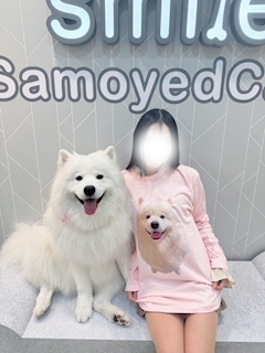 桜井ゆき「癒し🐶」