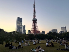 あや