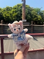 新着ブログ 🐱