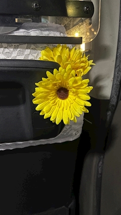 れい【PRETTY】「🌻」