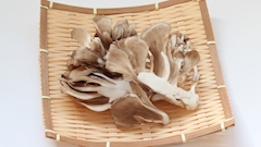 プロフィール写真1・舞華｜Club Capone・カポネ - 上野のキャバクラ