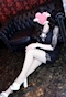 プロフィール写真2・七瀬　奈々｜CLUB MOMENT・モーメント - 名古屋 今池のキャバクラ