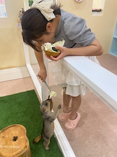 ゆい🐮🍼💕