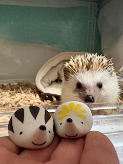 プロフィール写真2・ゆい｜BLISS・ブリス - 豊橋のスナック