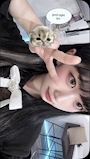 しの🦀