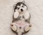 chiko