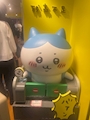 chiko
