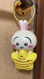 chiko