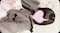 プロフィール写真7・💜ほの💜｜CREA・クレア - 名古屋 錦のコンカフェ
