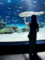 新着ブログ 久しぶりの水族館🐠🪸