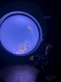 マオ「水族館🐠🪼」