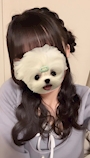 レン【宇都宮ELE】