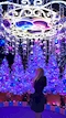 プロフィール写真7・れお【宇都宮ELE】｜Bar Space ELE・バースペースエレ - 東武宇都宮のガールズバー