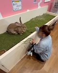 女の子の名前