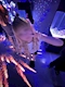 プロフィール写真9・せな【宇都宮ELE】|Bar Space ELE・バースペースエレ - 東武宇都宮のガールズバー