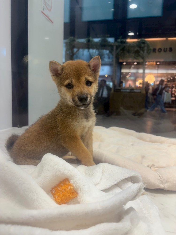 れあ💗ぴんみん三宮店