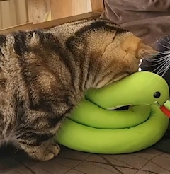 める