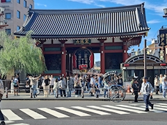 せな