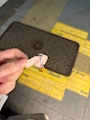 新着ブログ 梅雨いり?🌧️